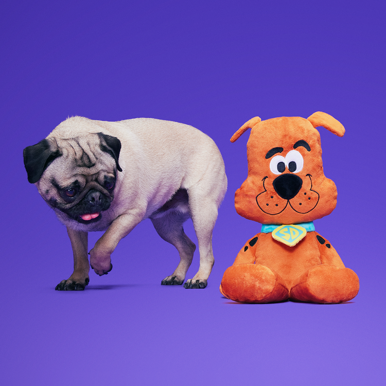 BARK BARK! Scooby Doo Toy