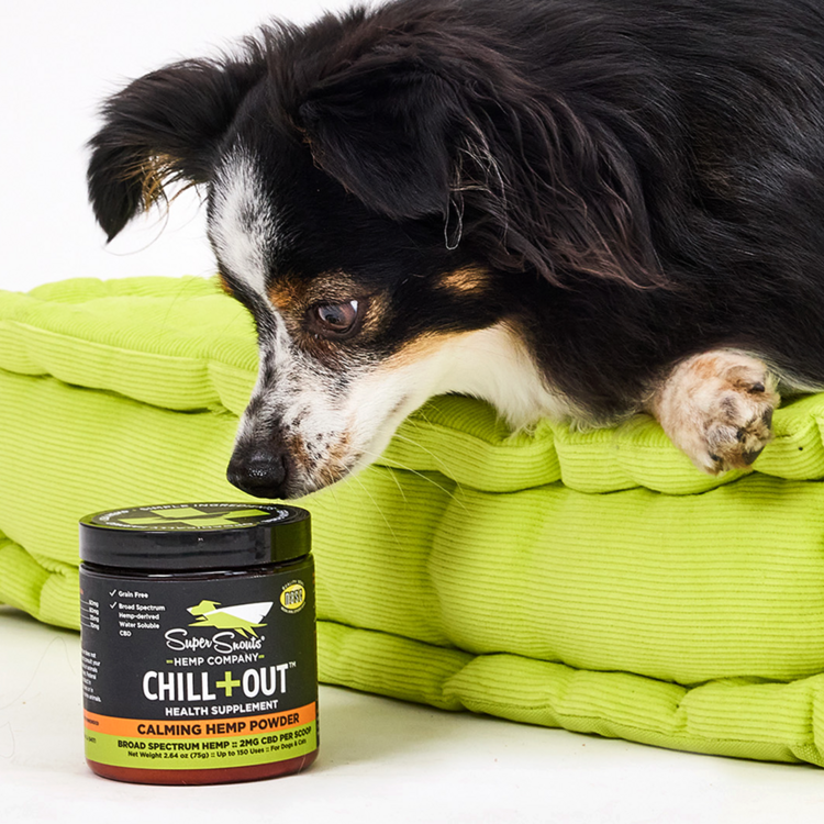 Super Snout Chill Out Powder 75G