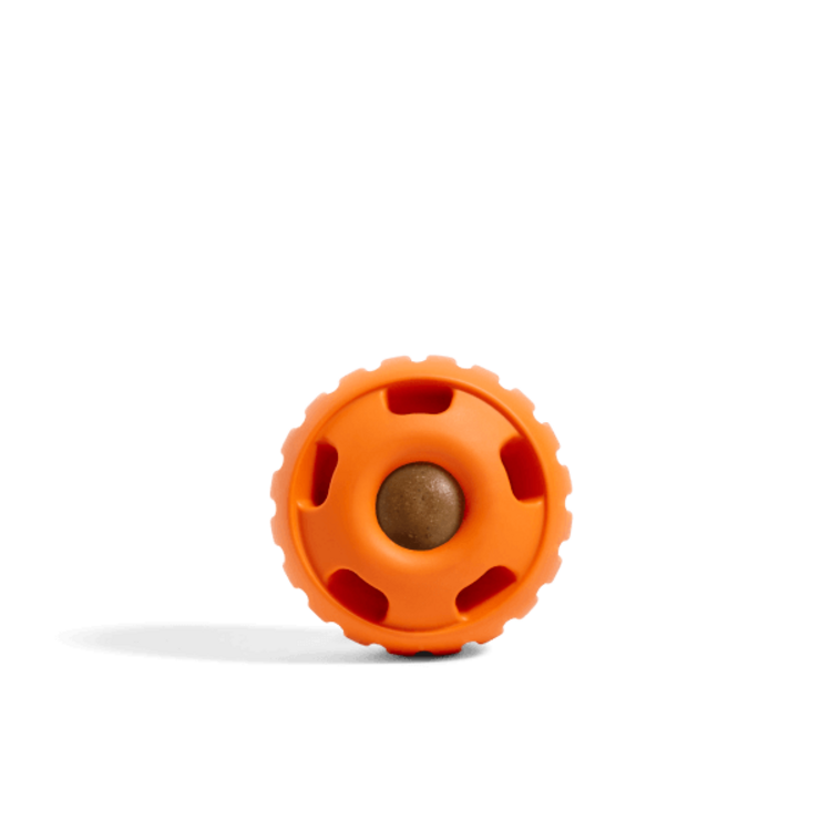 Woof Woof Pumpkin Pupsicle Large