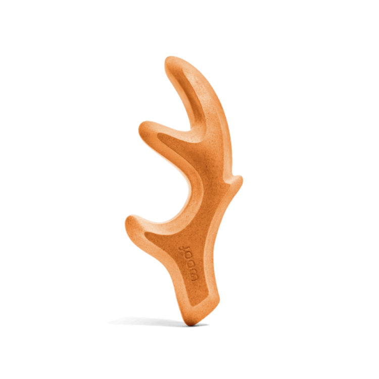 Woof Woof HonestChew Pumpkin Spice Antler Large