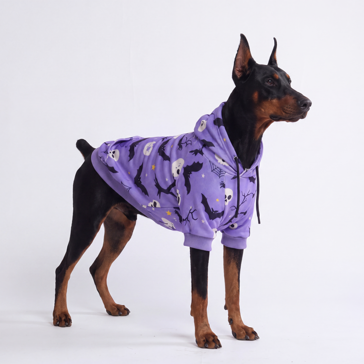 Spark Paws Spark Paws Skeleton Dog Hoodie