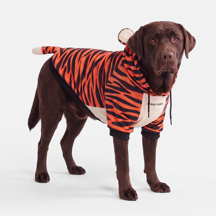 Spark Paws Spark Paws Hoodie Tiger