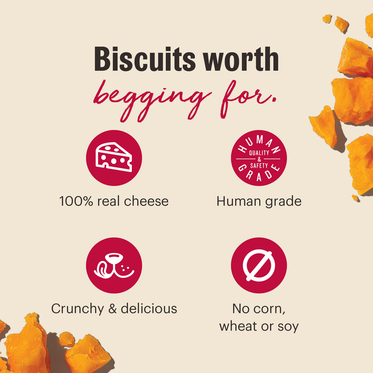 HK Cheddar Biscuits 3.5oz
