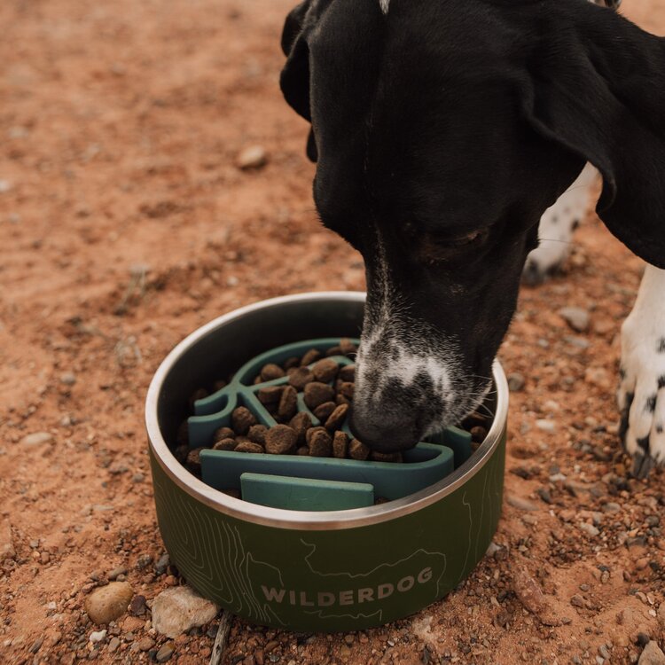 Wilderdog Silicone Slow Feeder Insert