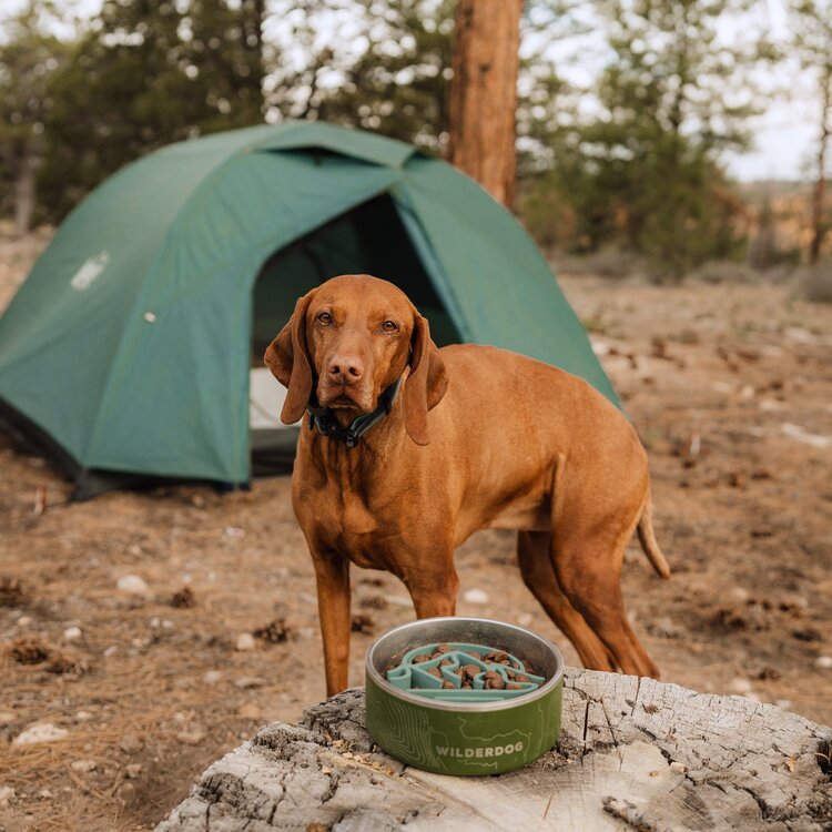 Wilderdog Silicone Slow Feeder Insert