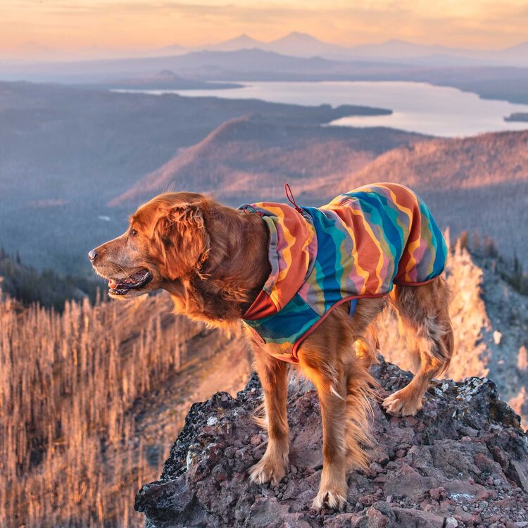 Wilderdog Pro Fleece Jacket