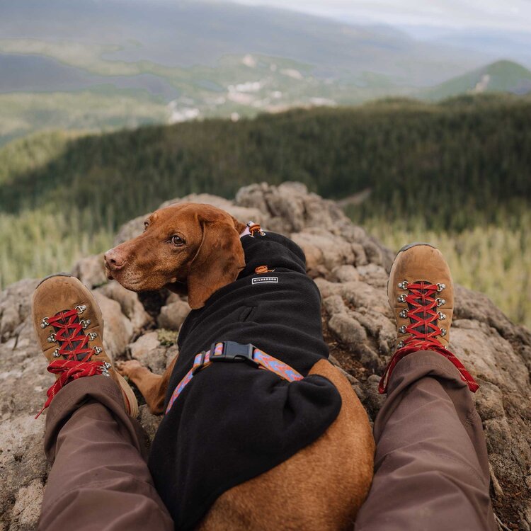 Wilderdog Pro Fleece Jacket