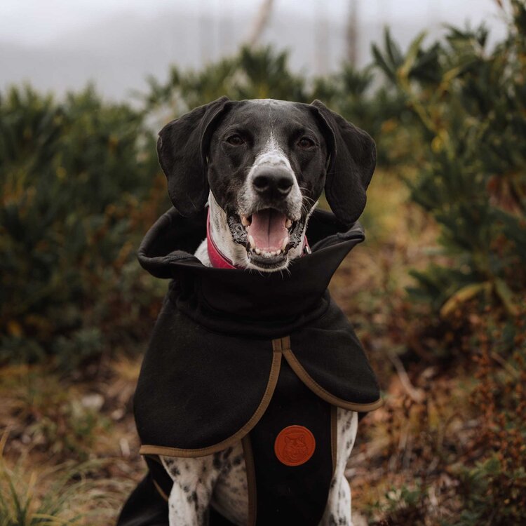 Wilderdog Pro Fleece Jacket