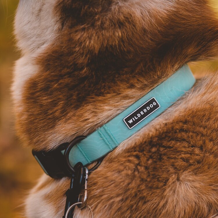 Wilderdog Waterproof Collar