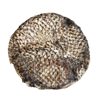 Home Range Pet Treats Furs-bee Tilapia