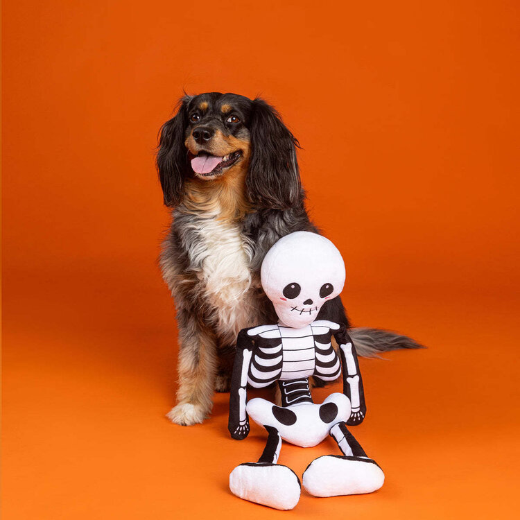 Bone to Be Wild Plush Toy