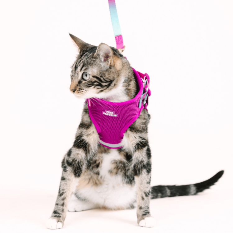 Pink Papyrus Cat Harness