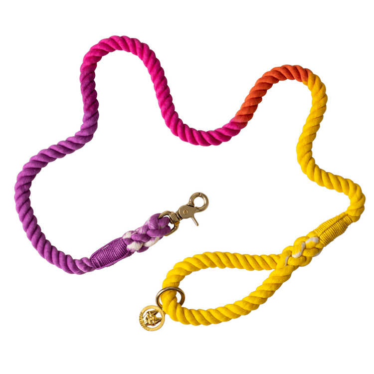 Pink Papyrus Hands-Free Rope Dog Leash - Pixie