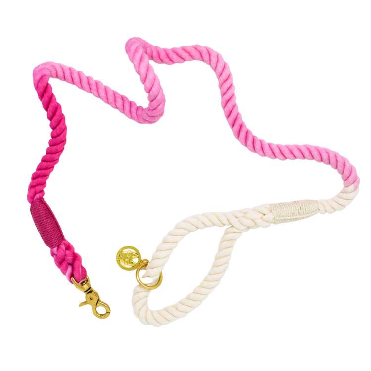 Pink Papyrus Hands-Free Rope Dog Leash - Pixie