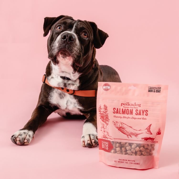 Polka D Salmon Says Bits 7oz