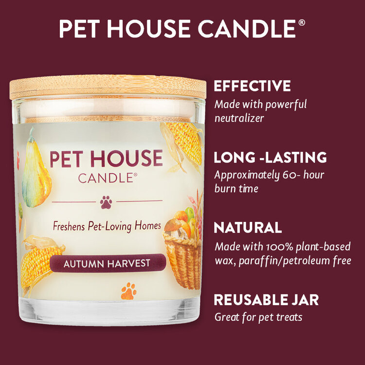 Pet House Candle Fall