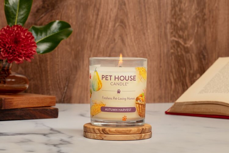 Pet House Candle Fall