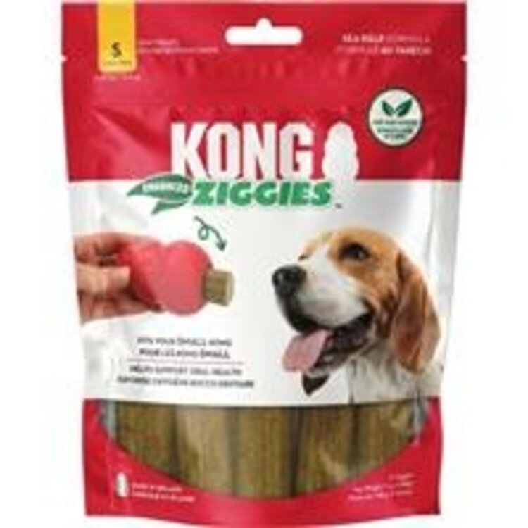 Kong Ziggies Small Single