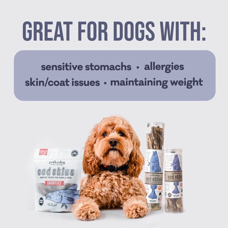 Polkadog Cod Skin Jerky 2oz