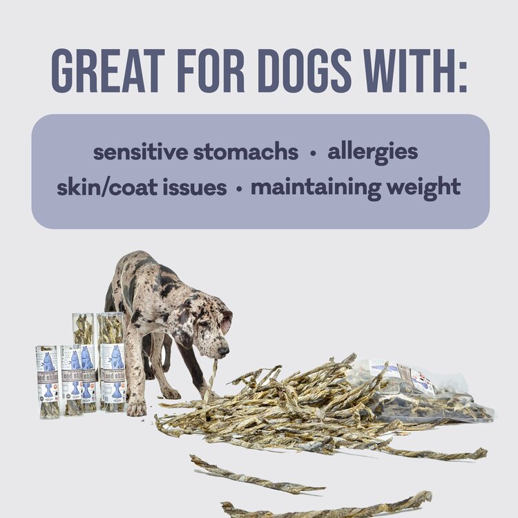 Polkadog D Cod Skin Jerky 2.5oz Tube