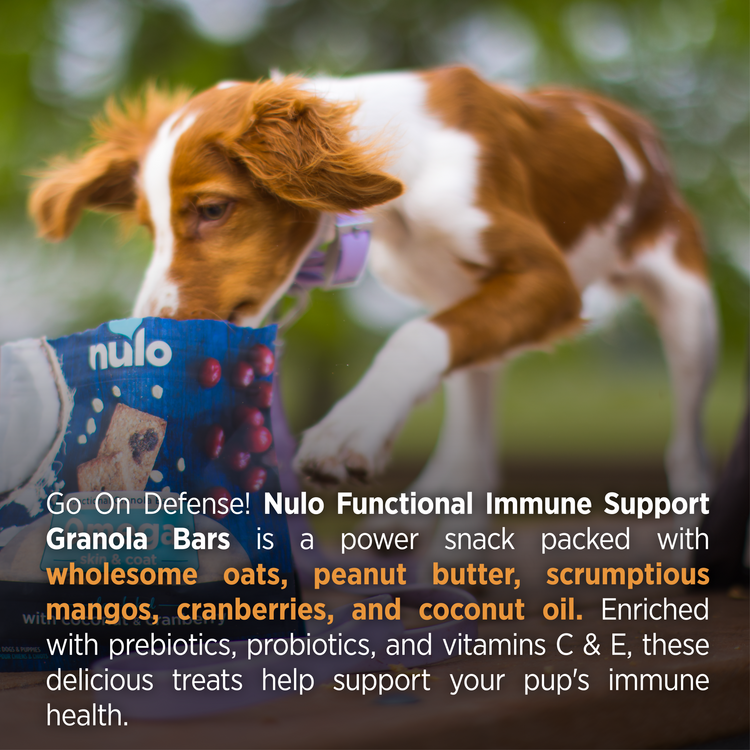 Nulo Dog Granola immunity 10oz