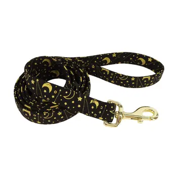 Coastal Accent Leash