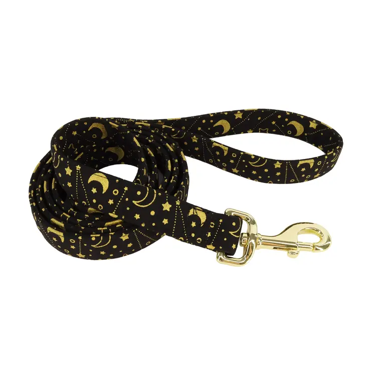 Coastal Accent Leash