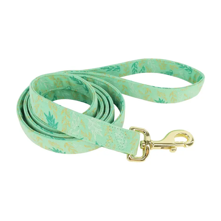 Coastal Accent Leash