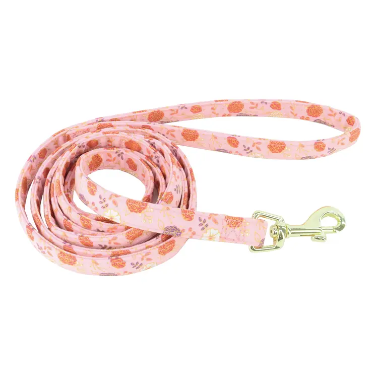 Coastal Accent Leash
