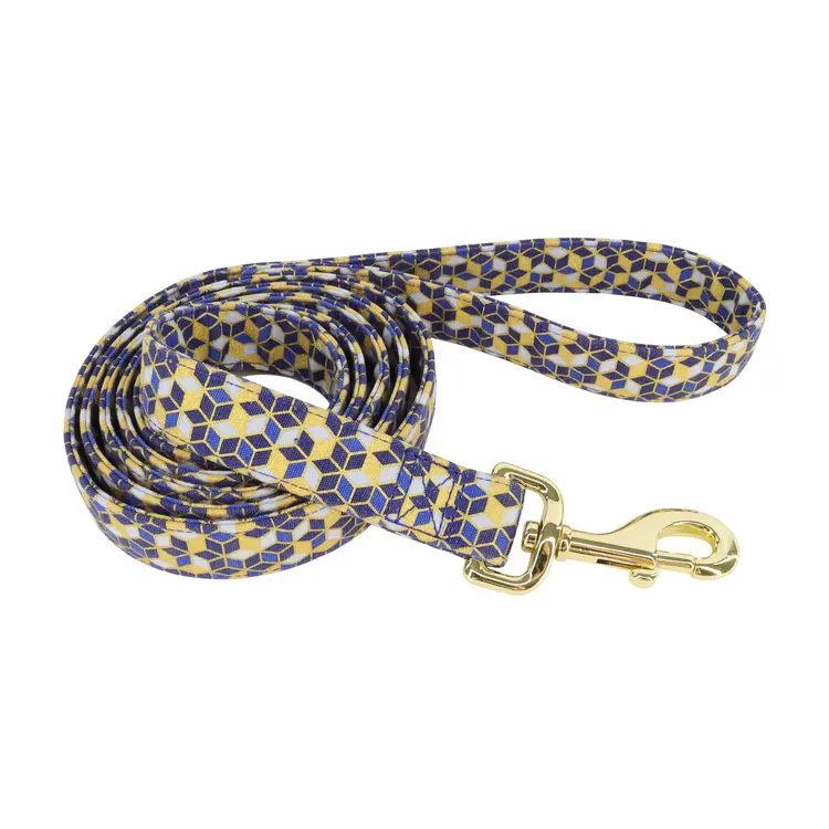 Coastal Accent Leash