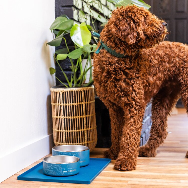 Wilderdog Wilderdog Silicone Mat