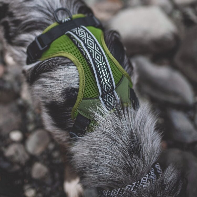 Wilderdog Wilderdog Harness