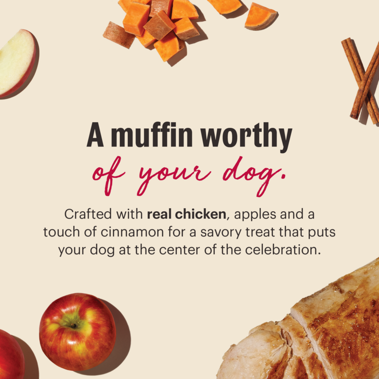 HK Muffin Mix Chicken & Apple 7.5 oz