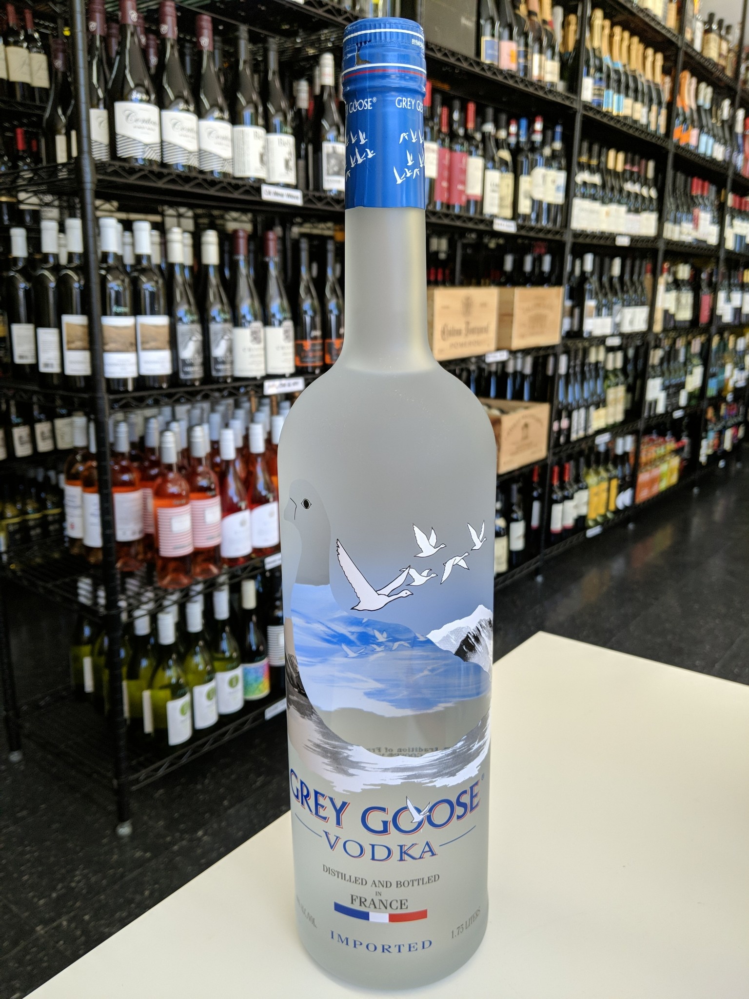 giant grey goose bottle