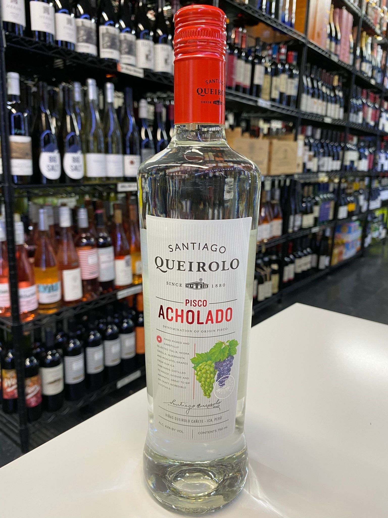 Queirolo - Pisco Italia