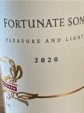 Fortunate Son Pleasure and Light 2020