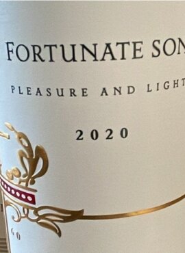 Fortunate Son Pleasure and Light 2020