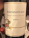 Fortunate Son Ghost Vines of 1963 2020