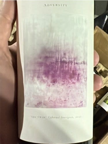 Adversity Cellars The Twin Cabernet Sauvignon 2021