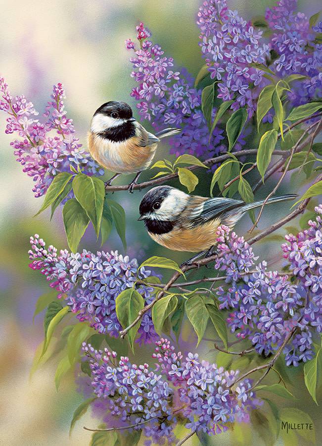 1000 - Chickadees and Lilacs