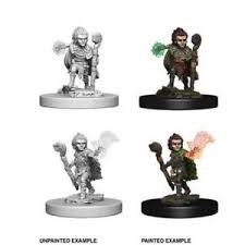 Pathfinder Battles Unpainted Minis - Gnome Druid (Male)