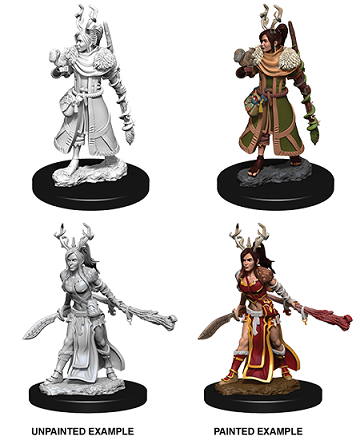 D&D Unpainted Minis - Human Druid (Female)