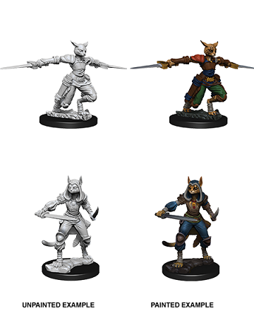 D&D Unpainted Minis - Tabaxi Rogue (Female)