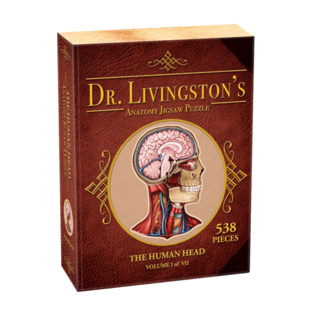 538 - Dr. Livingston's Anatomy Jigsaw Puzzles: Volume I - The Human Head