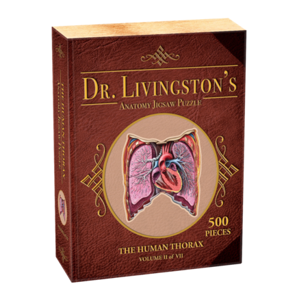 500 - Dr. Livingston's Anatomy Jigsaw Puzzles: Volume II - The Human Thorax