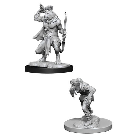 D&D Unpainted Minis - Wererat and Weretiger