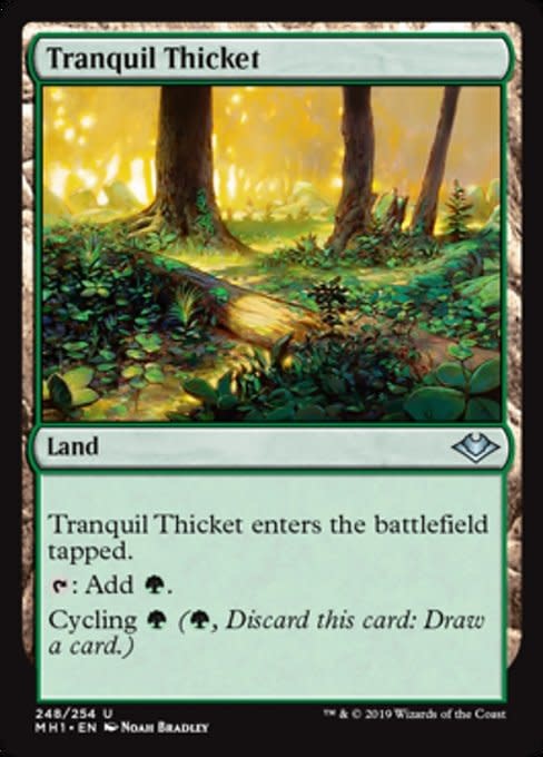 Tranquil Thicket - Foil