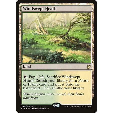 Windswept Heath