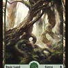 Forest (270) - Full Art - Foil