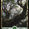 Forest (274) - Full Art - Foil